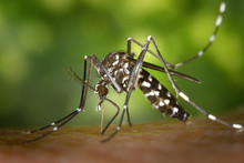 Infectiologie